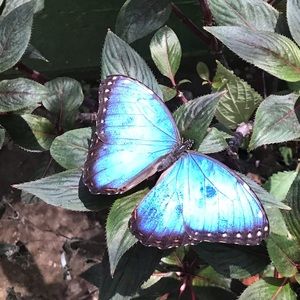 Meet your Posher, Aida